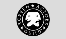 Screen Actors Guild, Boston sag-sidebar
